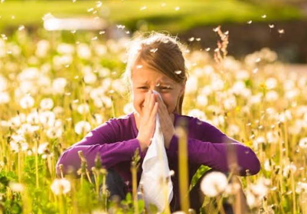 ¿Cómo aliviar las alergias de primavera con aceites esenciales?