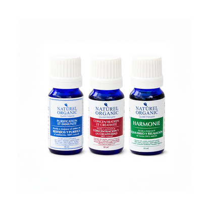 Pack ambiente de trabajo